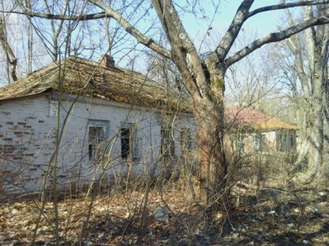 Houses are being reclaimed by the forest
