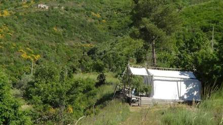 Safari tent in the Portuguese countr